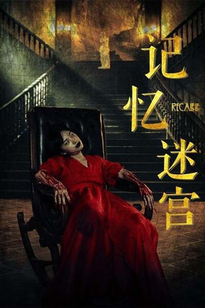 Memory Maze Hindi Dubbed Movie Poster 